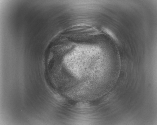 X0000068280354200605051847