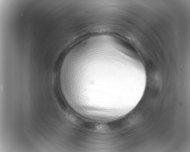 X0000068280355200605051847