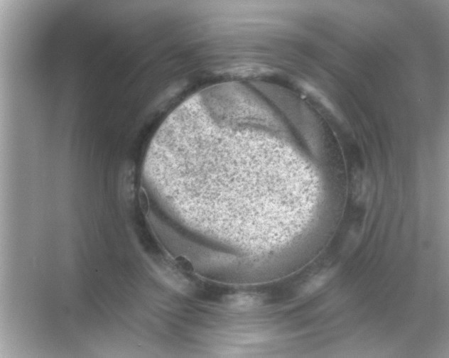 X0000068280356200605051847