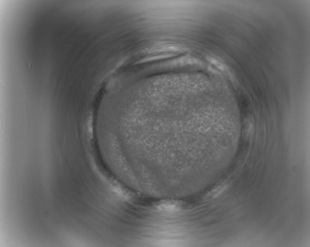 X0000068280358200605051847