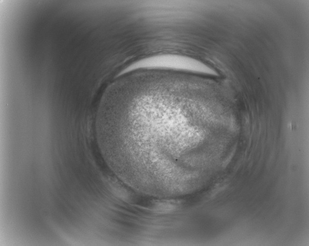 X0000068280359200605051847