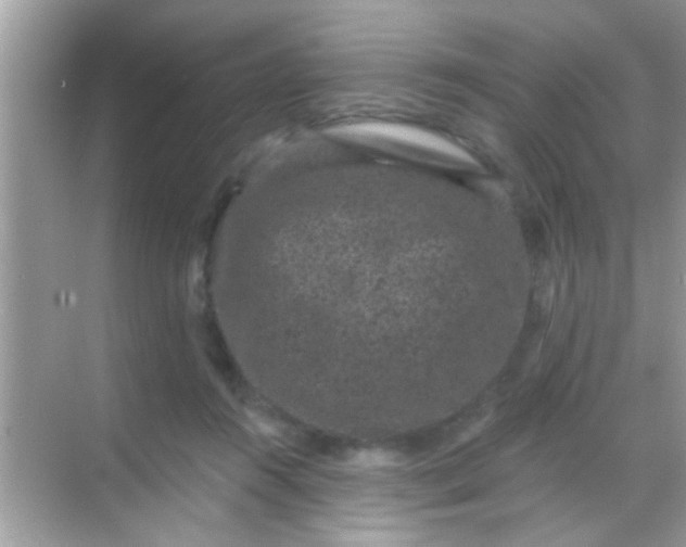 X0000068280360200605051847