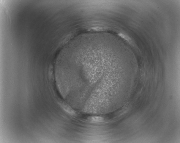 X0000068280361200605051847