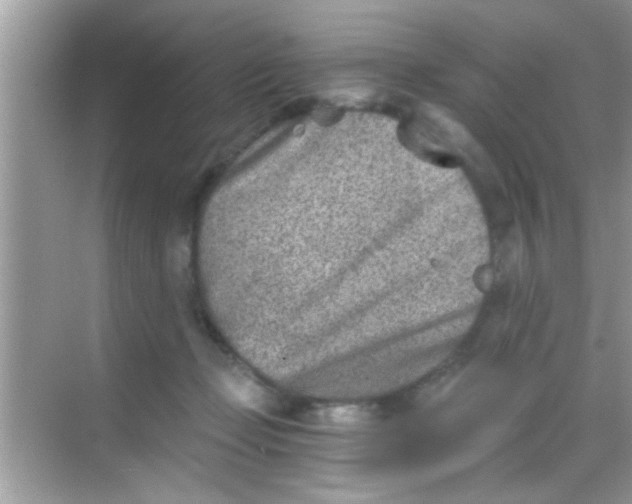 X0000068280365200605051847