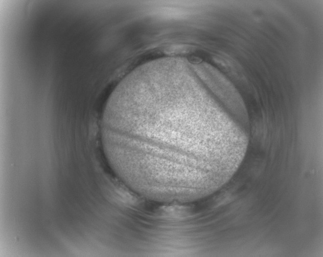 X0000068280367200605051847