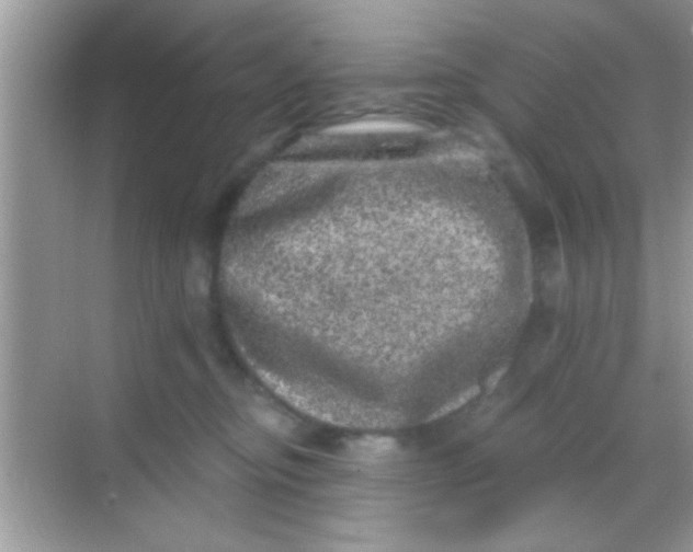 X0000068280374200605051848