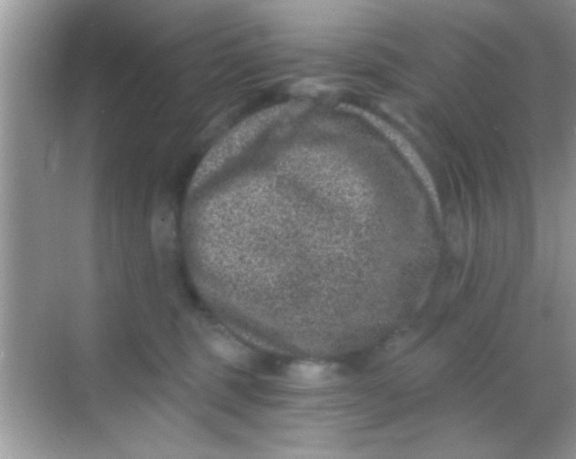 X0000068280375200605051848