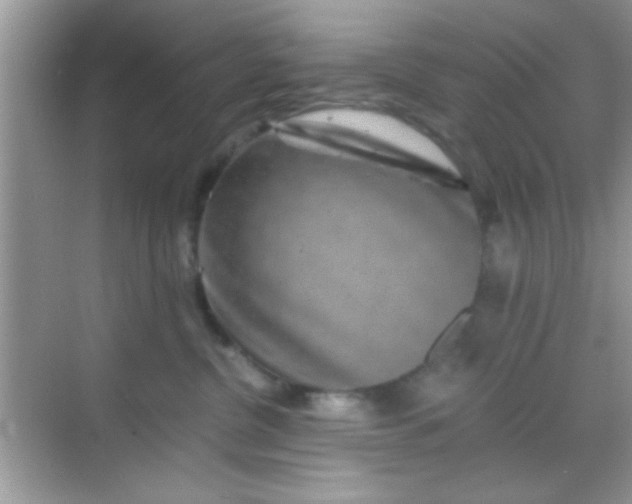 X0000068280380200605051848