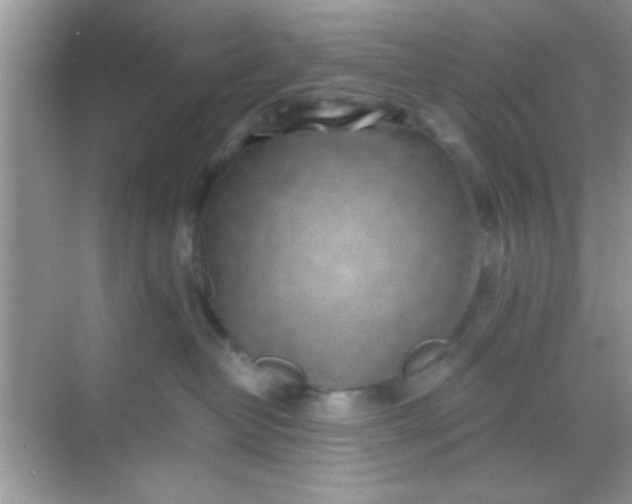 X0000068280382200605051848