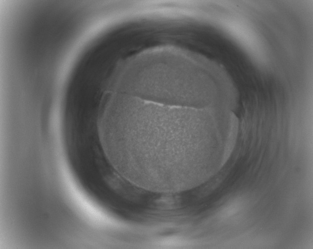 X0000068280383200605051848