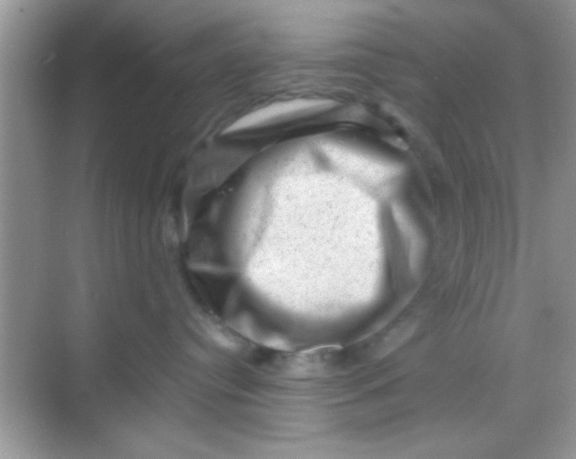 X0000068280384200605051848