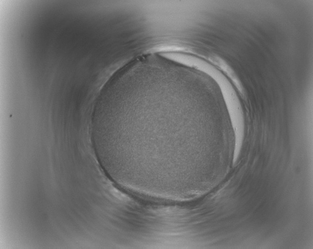 X0000068280385200605051847