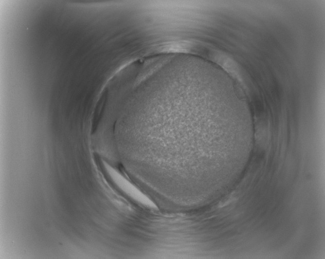 X0000068280386200605051847