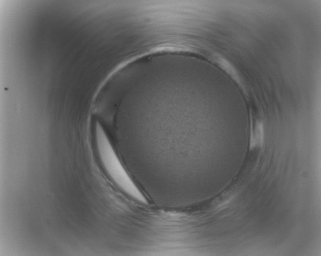 X0000068280387200605051847