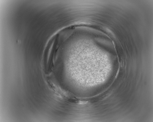 X0000068280388200605051847