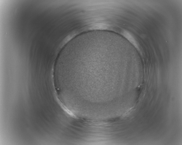 X0000068280389200605051847