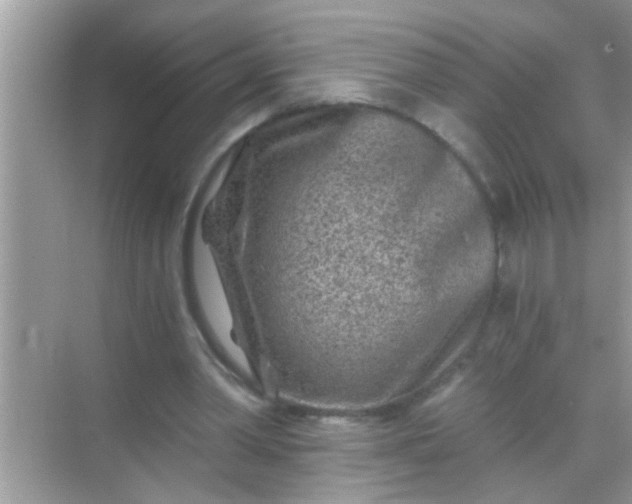 X0000068280390200605051847