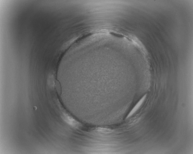 X0000068280393200605051847