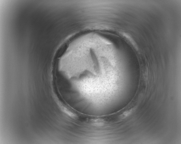 X0000068280395200605051847