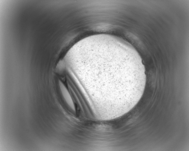 X0000068280400200605051847