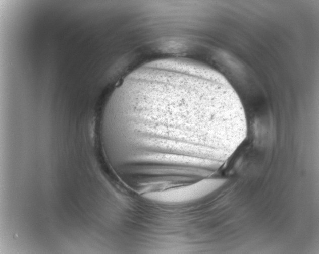 X0000068280404200605051847