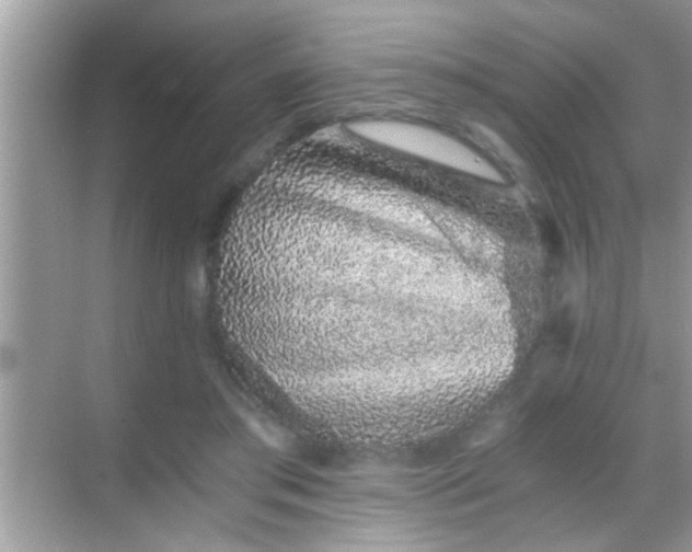 X0000068280405200605051847