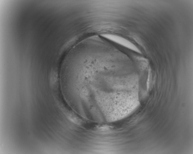 X0000068280407200605051847