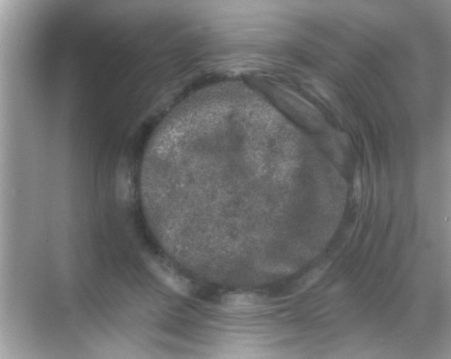 X0000068280408200605051847