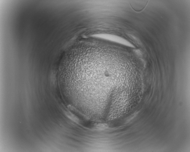 X0000068280409200605051847