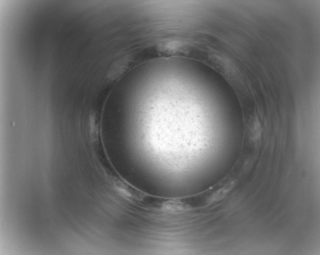 X0000068280420200605051846