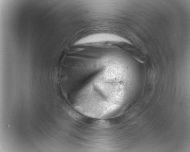 X0000068280421200605051846