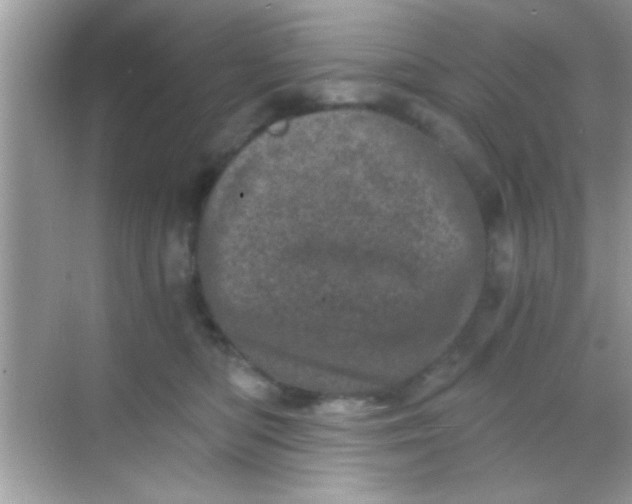 X0000068280422200605051846