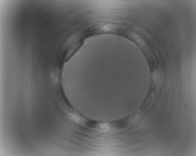 X0000068280423200605051846