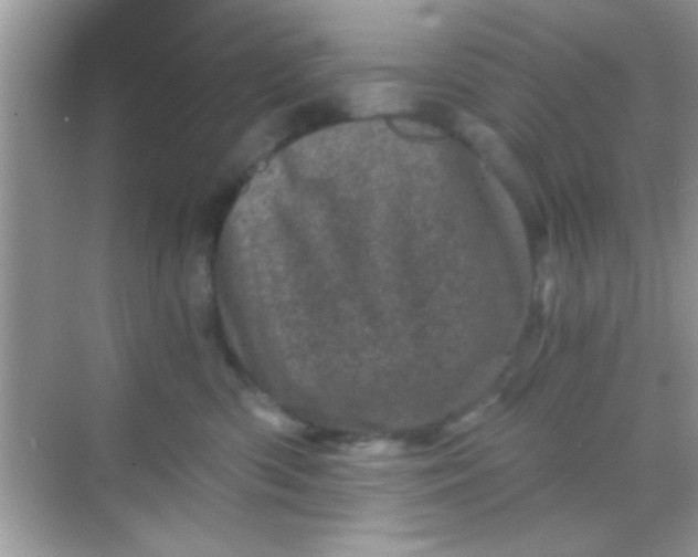 X0000068280426200605051846