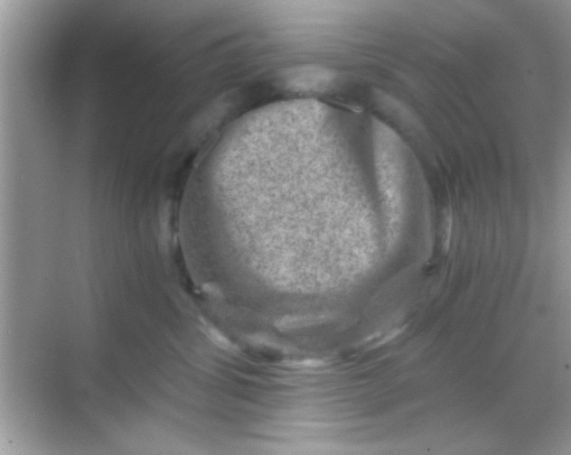 X0000068280428200605051846