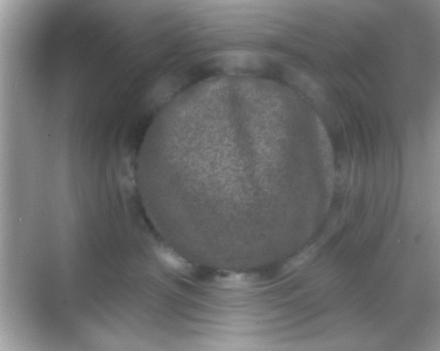 X0000068280430200605051846