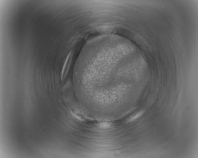 X0000068280432200605051846