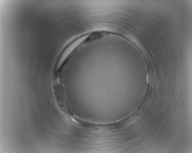 X0000068280434200605051845