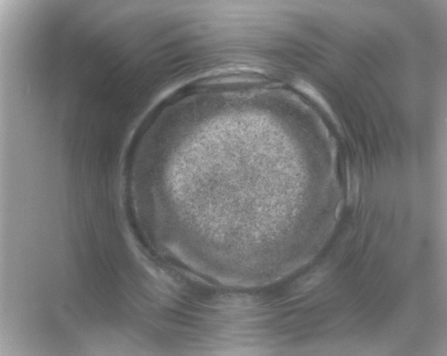 X0000068280435200605051845