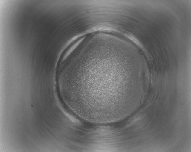 X0000068280438200605051845