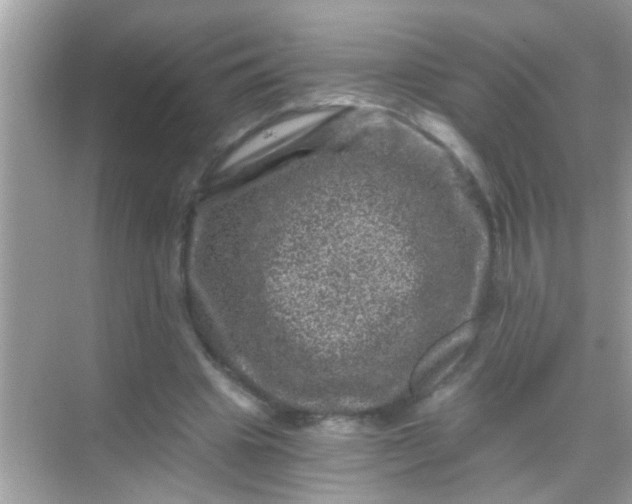 X0000068280441200605051845