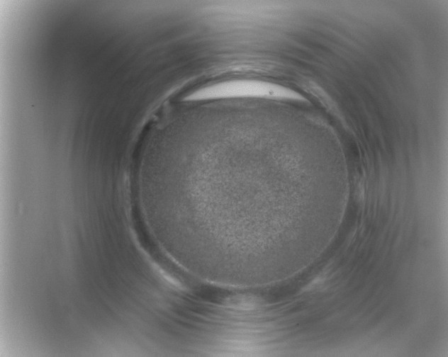 X0000068280444200605051846