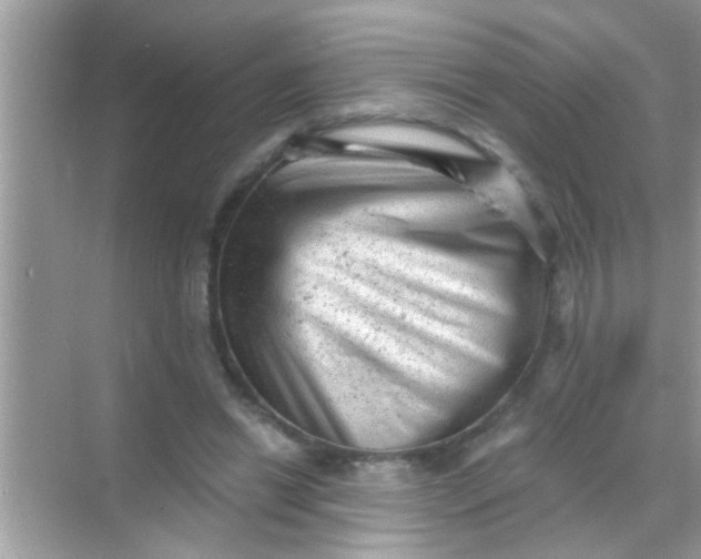 X0000068280446200605051846