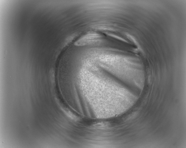 X0000068280447200605051846