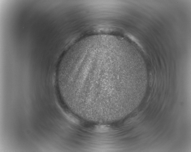 X0000068280451200605051846