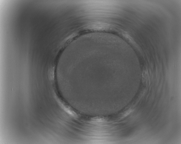 X0000068280454200605051846