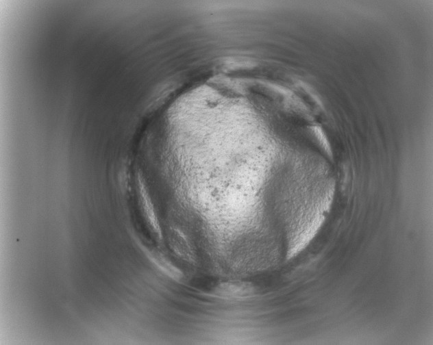 X0000068280455200605051846