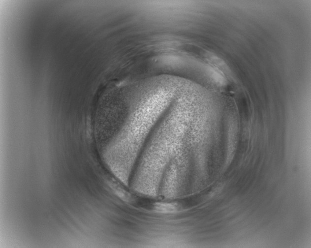 X0000068280457200605051846