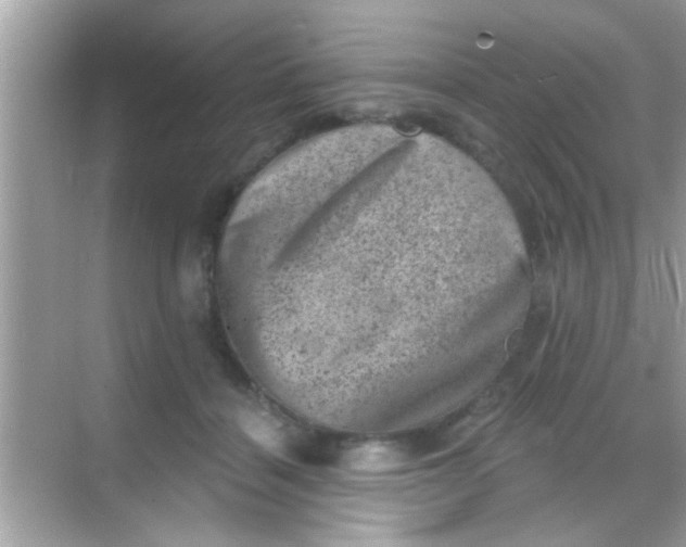 X0000068280460200605051846