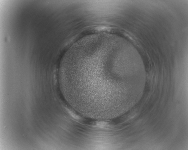 X0000068280462200605051846